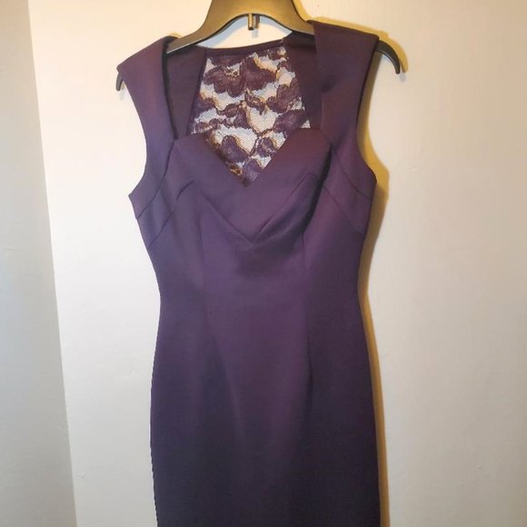 CB Established 1962 Dresses & Skirts - CB Established 1962 Eggplant Dress Size4